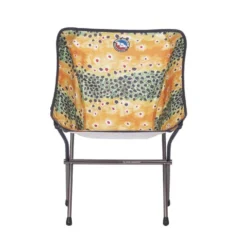 Big Agnes Mica Basin Camp Chair XL -Cheap Our Wild Trek Store FMBCCXL BrownTrout 010